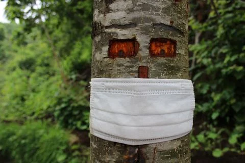 Sick tree Stock Photos