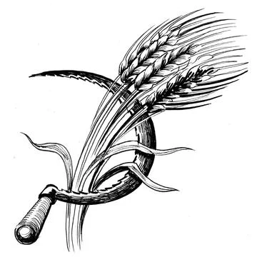 Sickle and wheat Stock Illustration