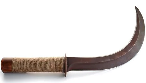 Sickle, bagging, reaping or grass hook is a single handed agricultural tool.. Foto stock