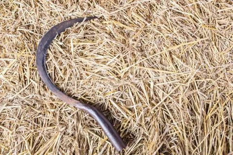 Sickle Stock Photos