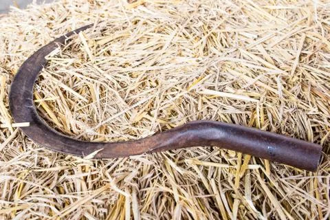 Sickle Stock Photos