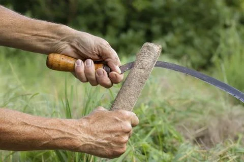 Sickle sharpening.A man sharpens a sickle with a grindstone for mowing grass. Stock Photos