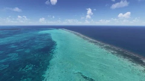 Side aerial drone view of Barrier Reef. Belize Stockbeeldmateriaal 330279549