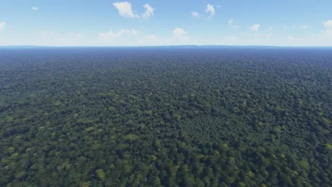 Side aerial drone view of Parque Nacional Sierra del Divisor in Ucayali. Peru Видео 330281373