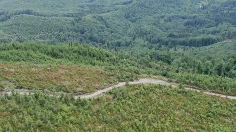 Side aerial moving shot of a path for tourists in the mountains on a sunny Stock Footage 251635359