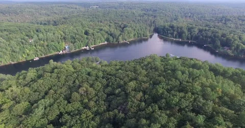 SIDE AERIAL OVER Green Forest LAKE COTTAGES Summer Vacation Area 4K Video stock 54568530