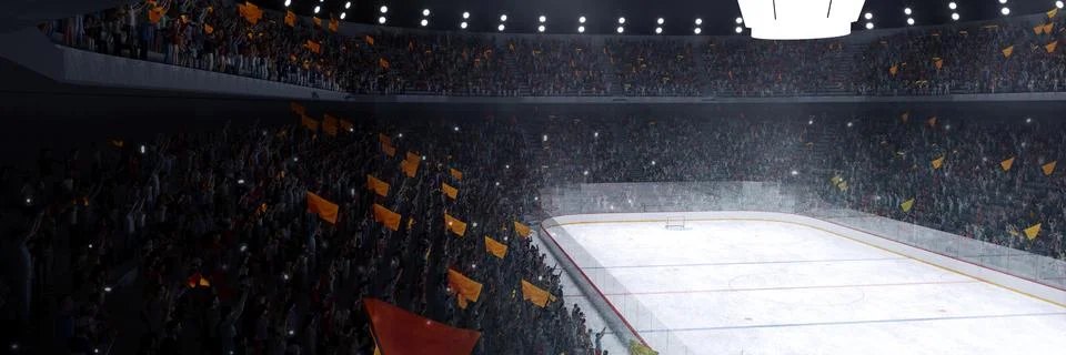Side aerial view. 3D model of empty ice rink stadium arena for sport competition Stock Illustration
