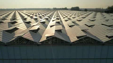 Side aerial view of greenhouse complex Stock Footage 328382222