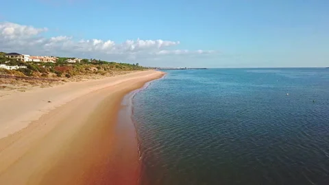 Side aerial view of the shore of a beach with houses between pine trees on on Stock Footage 147679849