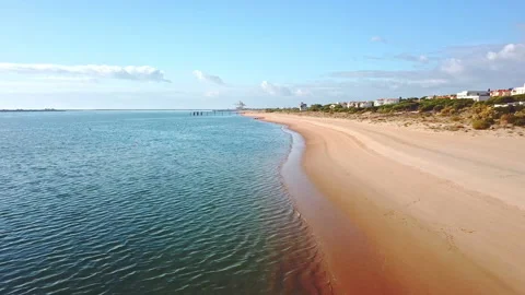 Side aerial view of the shore of a beach with houses between pine trees on on Stock Footage 147679932