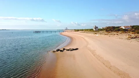 Side aerial view of the shore of a beach with houses between pine trees on on Stock Footage 147679999