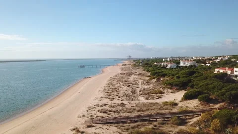 Side aerial view of the shore of a beach with houses among pine trees on one Stock Footage 147680518