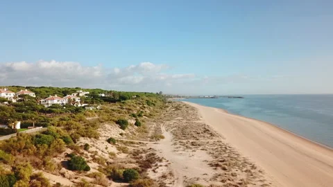 Side aerial view of the shore of a beach with houses between pine trees on on Stock Footage 147680560