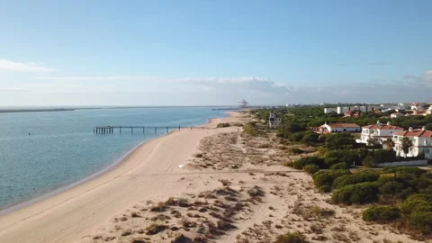 Side aerial view of the shore of a beach with houses among pine trees on one Stock Footage 147680931