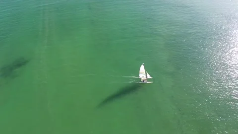Side-on aerial view of a small catamaran sailing boat at an Anglesey beach Stock Footage 234069909