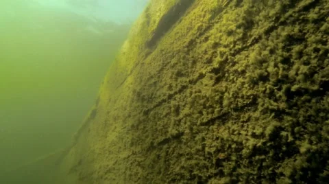 Side and deck rail of a shipwreck in a Finnish lake Stock Footage 55378238