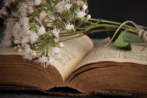 Side angle of an old open book with a bouquet of flowers lying on top Stock Photos