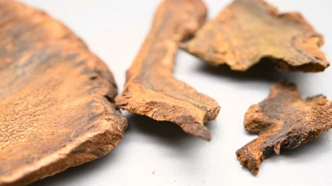 Side angle pan view DaHuang or Rhei Radix et Rhizoma or Tangute Rhubarb Stock Footage 146149569