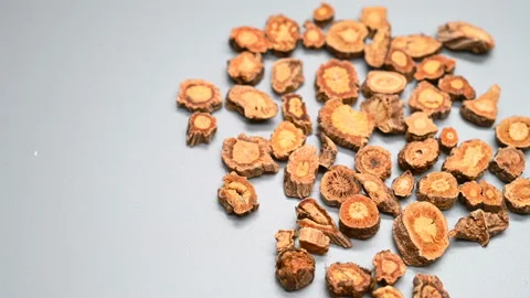 Side angle pan view herb FangFeng or Saposhnikoviae Radix or Divaricate Sapos Stock Footage 145804311