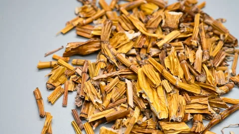 Side angle pan view herb ShiHu or Dendrobii Caulis or Noble Dendrobium Stem Herb Stock Footage 145805722