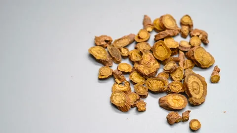 Side angle pan view herb HuangQin or Baikal Skullcap Root or Scutellariae Rad Stock Footage 145831859