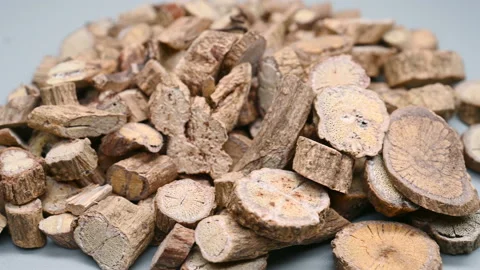 Side angle pan view herb Jishiteng or Paederiae Scandentis Herba et Radix or Stock Footage 145869524