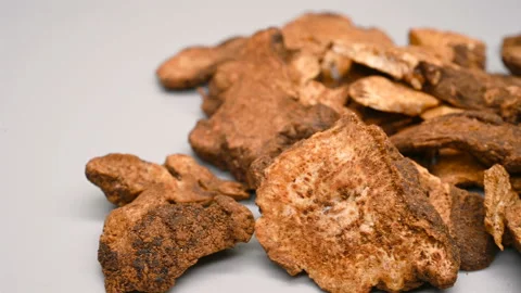 Side angle pan view herb CangZhu or CangShu or Rhizoma Atractylodis or Atract Stock Footage 145869786