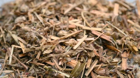 Side angle pan view herb LaoGuanCao or Erodii Herba or Geranii Herba or Commo Stock Footage 146113406
