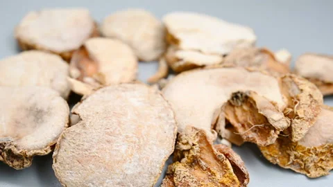 Side angle pan view herb ZheBeiMu or Fritillariae Thunbergii Bulbus or Chekia Stock Footage 146113827