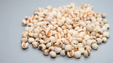 Side angle pan view herb Yiyiren or Coicis Semen or Ma-yuen Jobstears Seed Stock Footage 146361346