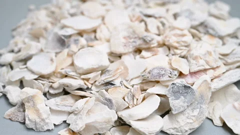 Side angle pan view medicine MuLi or Ostreae Concha or Common Oyster Shell Stock Footage 146115401