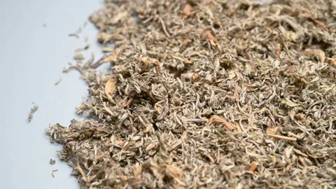 Side angle pan view YinChen or Artemisiae Scopariae Herba or Capillary Wormwo Stock Footage 146149040