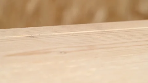 Side Angle Shot of Driller Making a Shallow Hole in a Piece of Wood Stock Footage 112078829