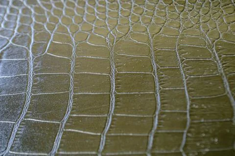 Side angle view of black crocodile skin background with customizable space .. Stock Photos