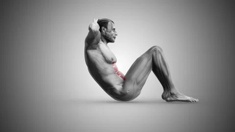 Side Angle View of Crunches Muscles Stock Footage 295985907
