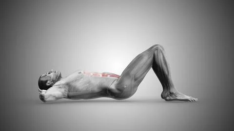 Side Angle View of Crunches Muscles 스톡 일러스트