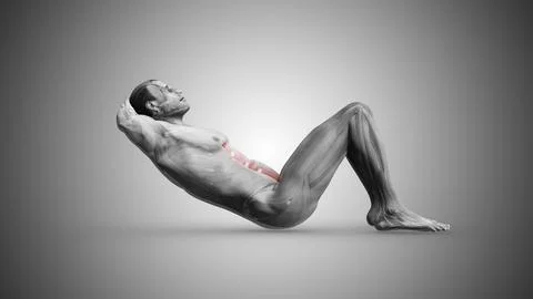 Side Angle View of Crunches Muscles イラスト素材