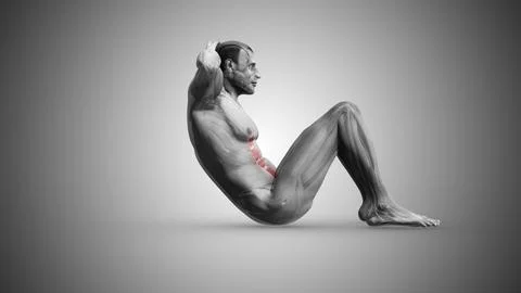 Side Angle View of Crunches Muscles Illustrazione stock