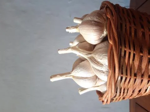 Side angle view of many garlic bulb in the basket Stock Photos