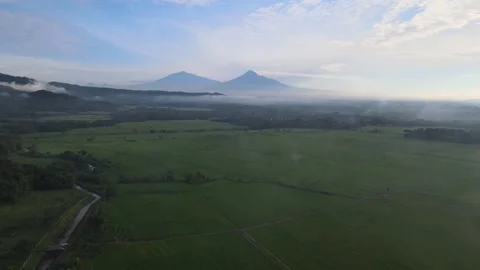 Side Away Capture of Paddy Field 스톡 동영상 146569125