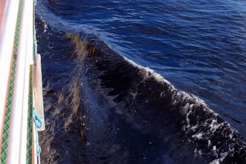 Side of the boat with bow wave. Stock Photos