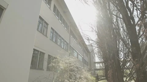 Side of a building with trees Stock-Footage 237520714