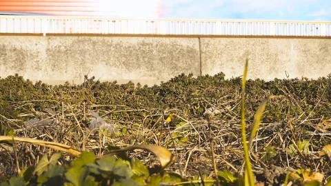 On the side of a busy road Stock Footage 71378284