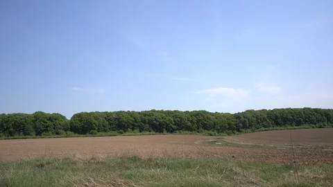 Side Car Stock Footage 89134601