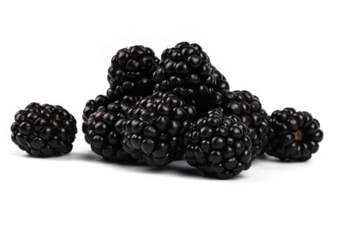Side close view of a group of black fresh blackberries on white background Stock Photos