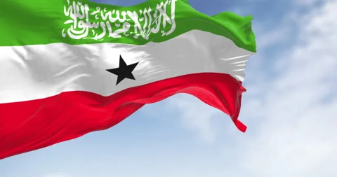 Side close-up view of Somaliland national flag waving in the wind. Stock Footage 326640631