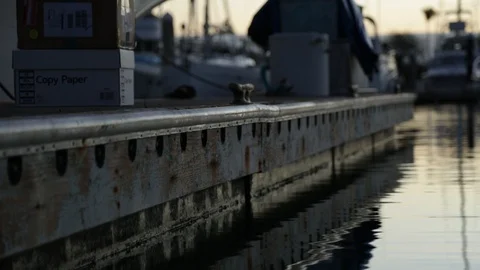 Side of The Dock Stock Footage 104805689