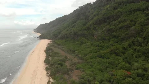Side drone view to tropical forest on the mountains and deserted paradise beach  Stock Footage 130546086