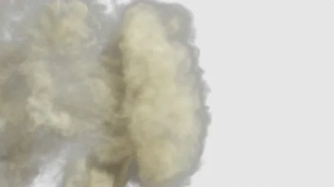 Side Ejection Smoke Cloud On Alpha Stock Footage 168582445