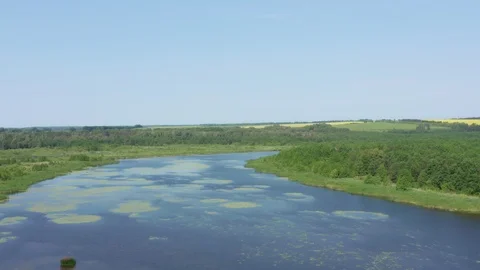 Side flight over a pond on a sunny day. Stock Footage 116640343